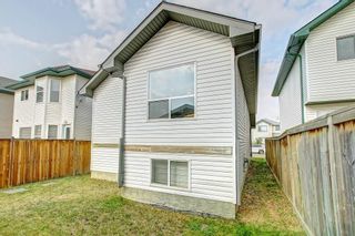 Photo 28: 288 SADDLEMEAD RD NE in Calgary: Saddle Ridge House for sale : MLS®# C4201588
