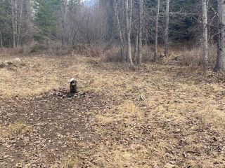 Photo 3: B - Lot 54 COKATO ROAD in Fernie: Vacant Land for sale : MLS®# 2476296