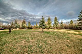 Photo 50: 292191 Township Road 264 in Rural Rocky View County: Rural Rocky View MD Detached for sale : MLS®# A2126641