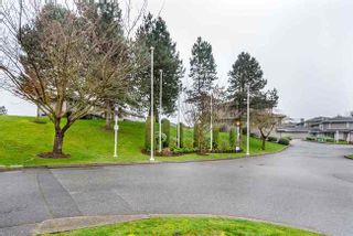 Photo 18: 154 1140 CASTLE CRESCENT in Port Coquitlam: Home for sale : MLS®# R2040631