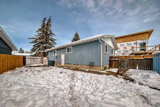 Photo 30: 176 Dovely Crescent SE in Calgary: Dover Detached for sale : MLS®# A2118047