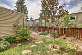 Photo 35: 26 3223 83 Street NW in Calgary: Greenwood/Greenbriar Mobile for sale : MLS®# A2054208