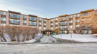 Photo 34: 511 8948 Elbow Drive SW in Calgary: Haysboro Apartment for sale : MLS®# A2019611