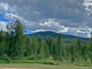 Photo 72: 5920 WIKKI-UP CREEK FS ROAD: Barriere House for sale (North East)  : MLS®# 174246