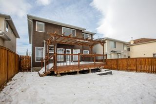 Photo 9: 54 Royal Birch Rise NW in Calgary: Royal Oak Detached for sale : MLS®# A2013238