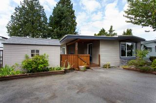 Photo 1: 213 3665 244 Street in Langley: Aldergrove Langley Manufactured Home for sale in "Langley Grove Estates" : MLS®# R2420727
