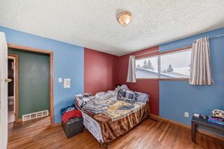 Photo 24: 3431 32A Avenue SE in Calgary: Dover Detached for sale : MLS®# A2126947