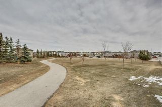Photo 41: 104 COPPERSTONE Circle SE in Calgary: Copperfield House for sale : MLS®# C4179675