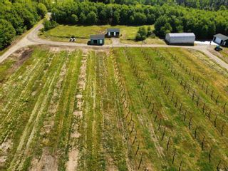 Photo 5: 1272 Hilltown Road in Hilltown: Digby County Farm for sale (Annapolis Valley)  : MLS®# 202213004