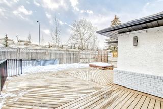 Photo 40: 77 Country Hills Close NW in Calgary: Country Hills Detached for sale : MLS®# A2024041