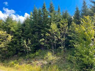 Photo 3: Lot 2 MacLean Road in Hunters Mountain: 209-Victoria County / Baddeck Vacant Land for sale (Cape Breton)  : MLS®# 202317840