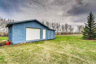 Photo 4: 254040 Range Road 280 in Rural Rocky View County: Rural Rocky View MD Detached for sale : MLS®# A2125455