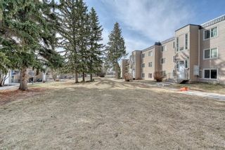 Photo 39: 306 315 Heritage Drive SE in Calgary: Acadia Apartment for sale : MLS®# A1090556