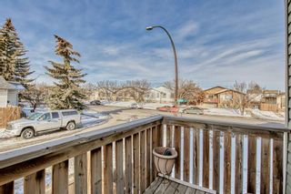 Photo 10: 3795 44 Avenue NE in Calgary: Whitehorn Detached for sale : MLS®# A2012349
