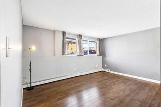 Photo 6: 105 110 24 Avenue SW in Calgary: Mission Apartment for sale : MLS®# A2119201