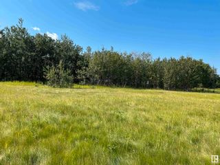 Photo 10: 56519 Range Road 220: Rural Sturgeon County Land Commercial for sale : MLS®# E4352404