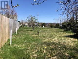 Photo 8: 65 Ohio Drive in Stephenville: Vacant Land for sale : MLS®# 1234009