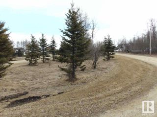 Photo 11: 81 15065 TWP RD 470: Rural Wetaskiwin County Vacant Lot/Land for sale : MLS®# E4287177