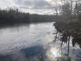 Photo 15: 53 Bridges Lane in River Lake: 35-Halifax County East Vacant Land for sale (Halifax-Dartmouth)  : MLS®# 202224020