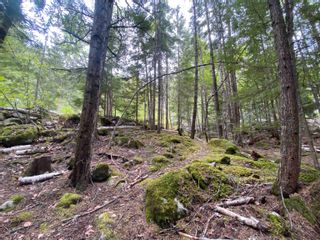 Photo 1: LOT 96 6500 IN-SHUCK-CH FOREST SERVICE Road in Mount Currie: Lillooet Lake Land for sale in "LILLOOET LAKE ESTATES" (Pemberton)  : MLS®# R2701773