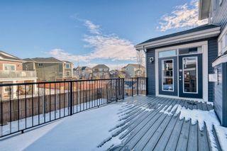 Photo 42: 68 Rainbow Falls Boulevard: Chestermere Detached for sale : MLS®# A1060904