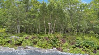 Photo 9: Lot 7 Maple Ridge Drive in White Point: 406-Queens County Vacant Land for sale (South Shore)  : MLS®# 202315168
