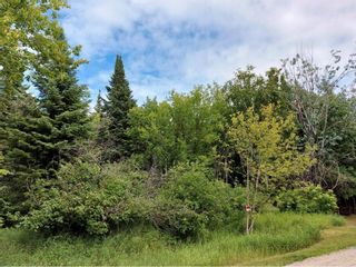 Photo 16: 75 Lakeview Drive in Beaconia: Halcyon Cove Residential for sale (R27)  : MLS®# 202320660