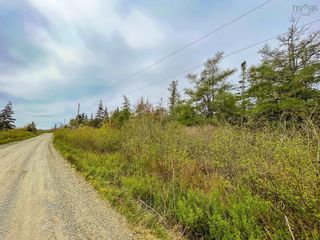 Photo 1: Lot 101 Long Cove Road in Port Medway: 406-Queens County Vacant Land for sale (South Shore)  : MLS®# 202304042