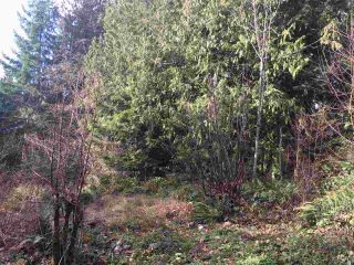 Photo 6: LOT 1 GRANDVIEW Road in Gibsons: Gibsons & Area Land for sale in "BONNIEBROOK" (Sunshine Coast)  : MLS®# R2239418