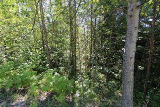 Photo 11: Lot 90 Birch Close: Land Only for sale : MLS®# 10071170