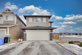 Photo 33: 8 Saddlestone Grove NE in Calgary: Saddle Ridge Detached for sale : MLS®# A2020988