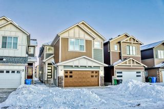 Photo 45: 144 Homestead Grove NE in Calgary: C-686 Detached for sale : MLS®# A2011705