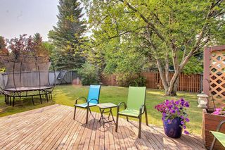 Photo 14: 172 Edendale Way NW in Calgary: Edgemont Detached for sale : MLS®# A1133694