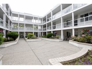 Photo 2: 105 20240 54A Avenue in Langley: Langley City Condo for sale in "Arbutus Court" : MLS®# F1315776