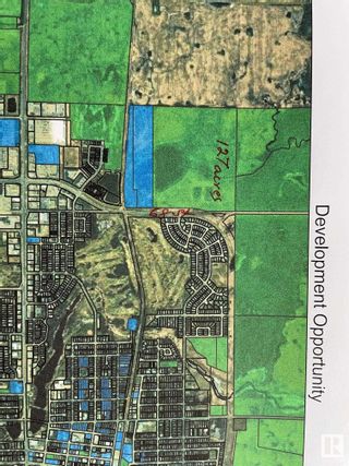 Photo 24: 47066 RR 203: Camrose Vacant Lot/Land for sale : MLS®# E4341327