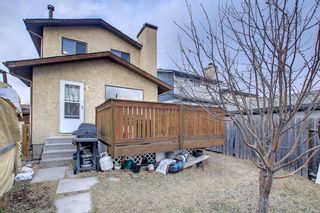 Photo 45: 33 Templeton Bay NE in Calgary: Temple Detached for sale : MLS®# A1199751
