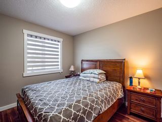 Photo 29: 100 Panamount Common NW in Calgary: Panorama Hills Detached for sale : MLS®# A1221652