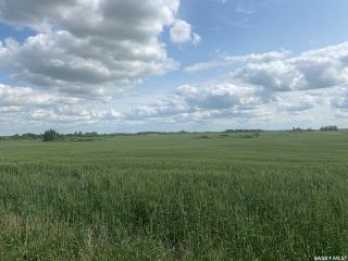 Photo 6: Murray Land in Mcleod: Farm for sale (Mcleod Rm No. 185)  : MLS®# SK948843