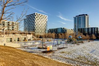 Photo 48: 117 910 Centre Avenue NE in Calgary: Bridgeland/Riverside Apartment for sale : MLS®# A2012923