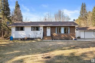 Photo 5: 54220 RGE RD 250: Rural Sturgeon County House for sale : MLS®# E4383623