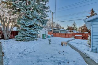 Photo 32: 744 Mapleton Drive SE in Calgary: Maple Ridge Detached for sale : MLS®# A2012390