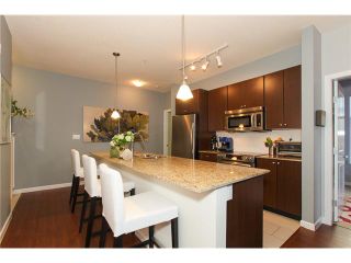 Photo 2: # 110 270 FRANCIS WY in New Westminster: Fraserview NW Condo for sale : MLS®# V1042536