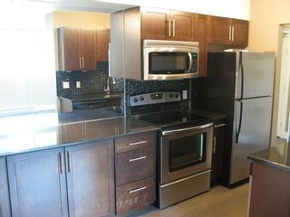 Photo 4: 101 100 Killarney Avenue in Winnipeg: Condominium for sale : MLS®# 1315662