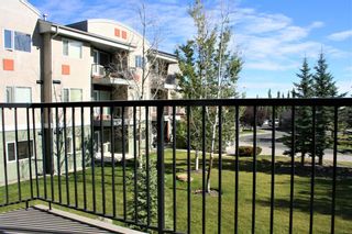 Photo 38: 69 SPRINGBOROUGH Court SW in Calgary: Springbank Hill Apartment for sale : MLS®# A1029583