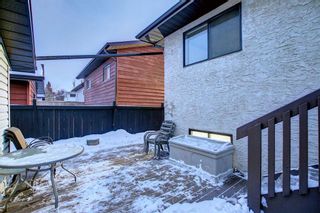 Photo 32: 33 Erickson Drive: Red Deer Detached for sale : MLS®# A2012908