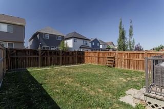 Photo 26: 233 Auburn Meadows Boulevard SE in Calgary: Auburn Bay Detached for sale : MLS®# A2019062