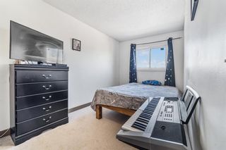 Photo 17: 54 Templeson Crescent NE in Calgary: Temple Detached for sale : MLS®# A1209968