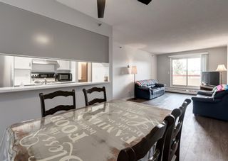 Photo 13: 405 2011 University Drive NW in Calgary: University Heights Apartment for sale : MLS®# A1223061