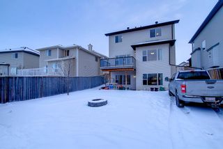 Photo 47: 325 SPRINGMERE Way: Chestermere Detached for sale : MLS®# A1190415