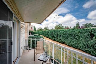 Photo 3: 37 3110 TRAFALGAR Street in Abbotsford: Central Abbotsford Townhouse for sale in "Northview Properties" : MLS®# R2805073